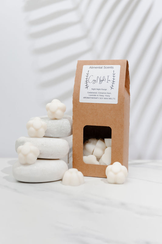 Cosy Night In Wax Melts